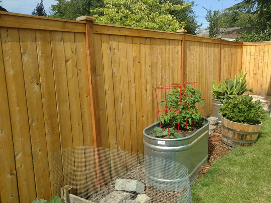 Garden boxes and fence
